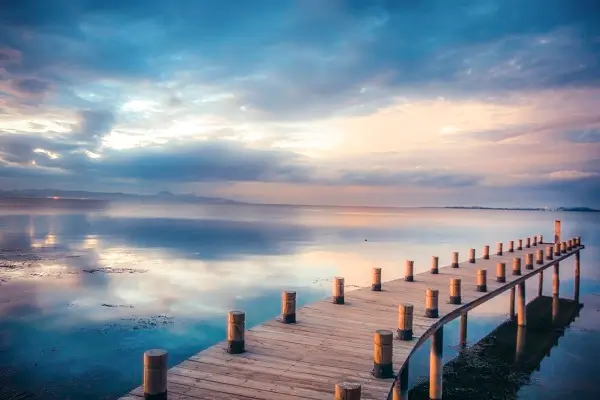 深圳周边美食攻略