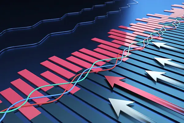 湖州羊肉美食攻略